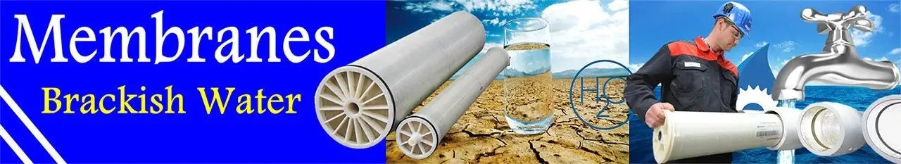 Brackish Water Reverse Osmosis Membranes