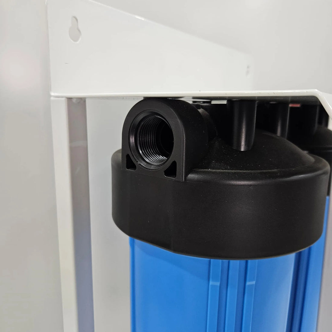 Big Blue Twin Water Filter with Sediment & Carbon Cartridges