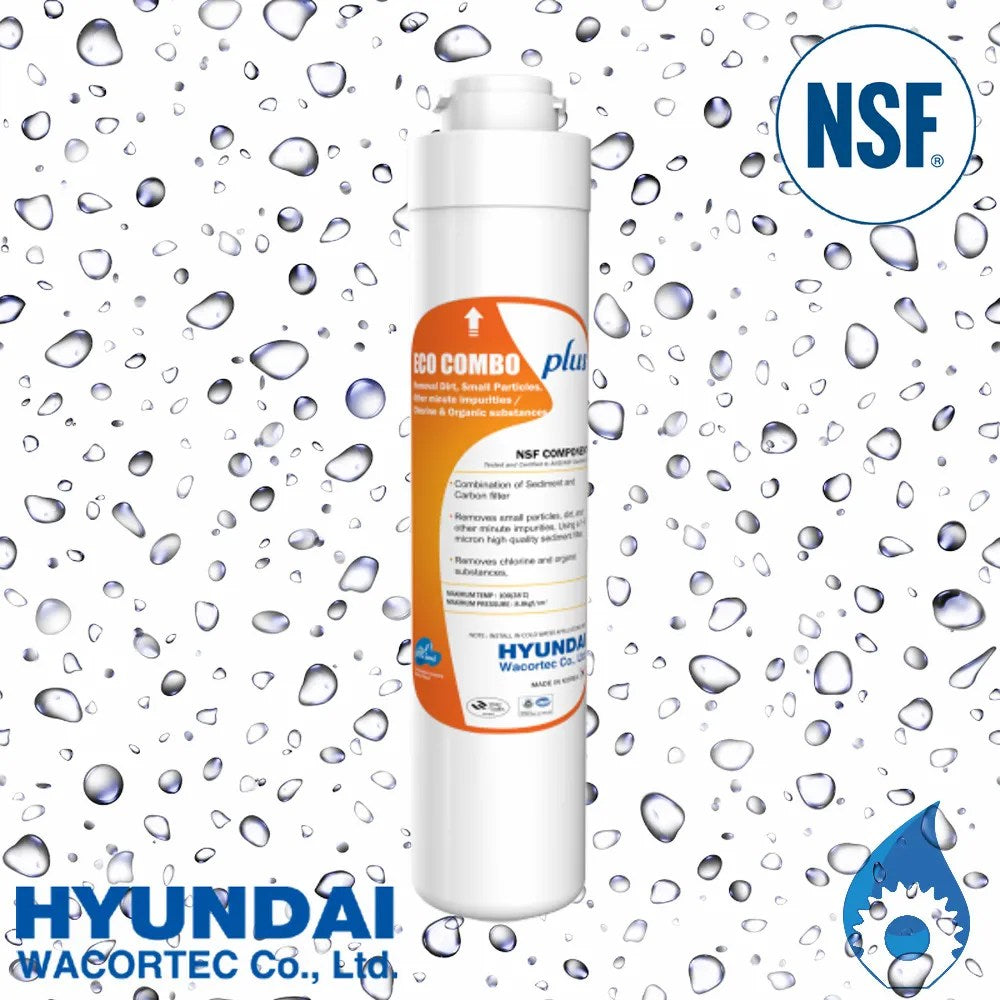 2 in 1 Single Under Sink Water Filter