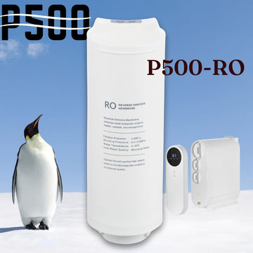 RO Filter for AQUALA P500 System