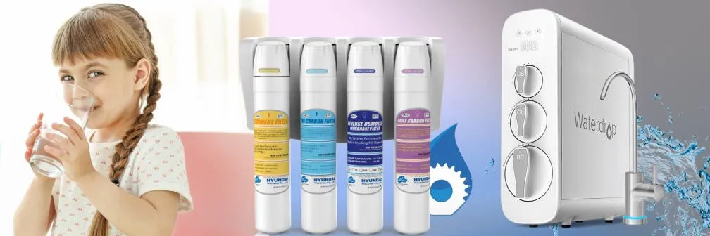 collection-banner-image