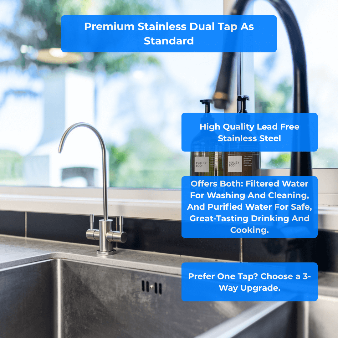Dual filtered water tap